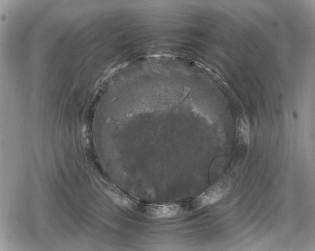 X0000078840663200611201314