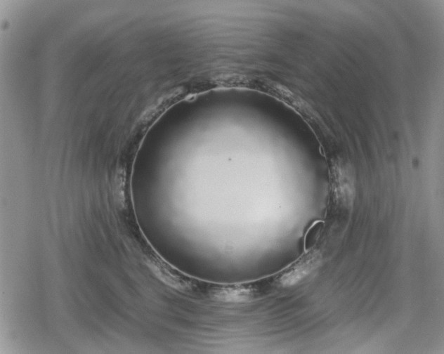 X0000078840664200611201315