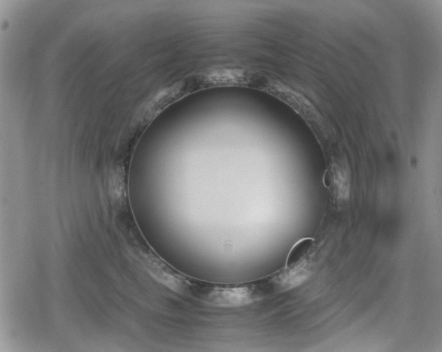 X0000078840665200611201315