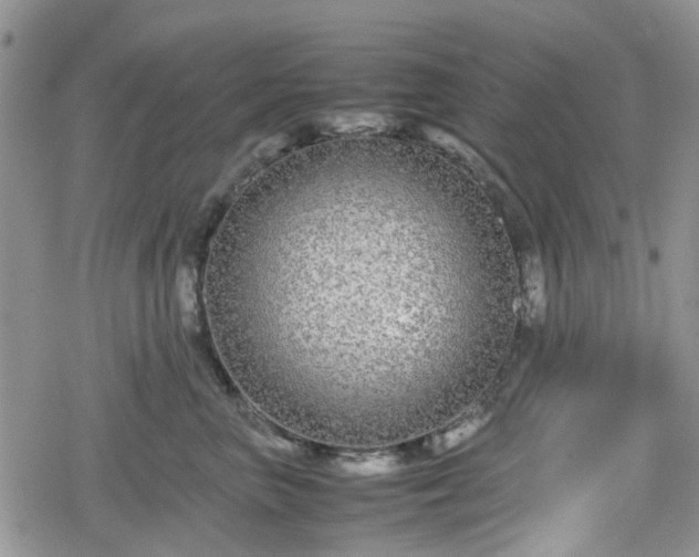 X0000078840667200611201315