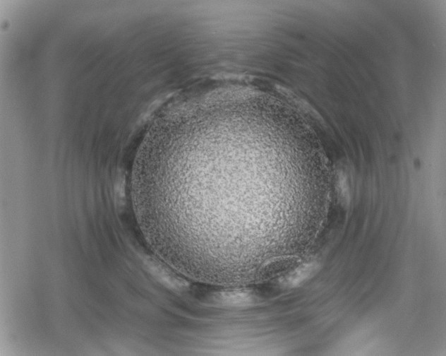 X0000078840668200611201315