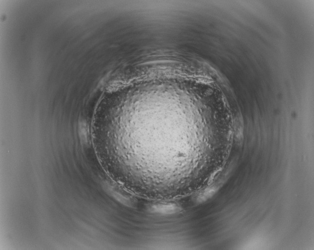 X0000078840669200611201315