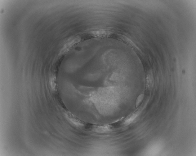 X0000078840671200611201315