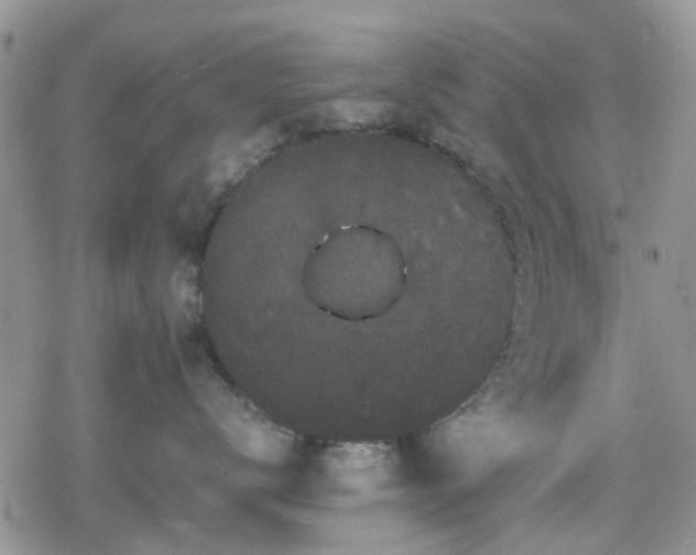 X0000078840672200611201315