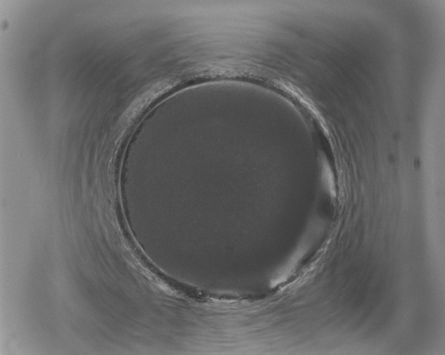 X0000078840673200611201314