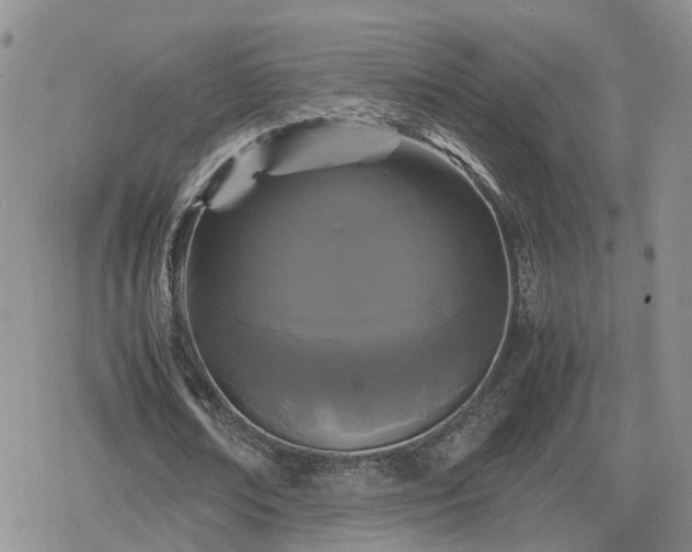 X0000078840674200611201314