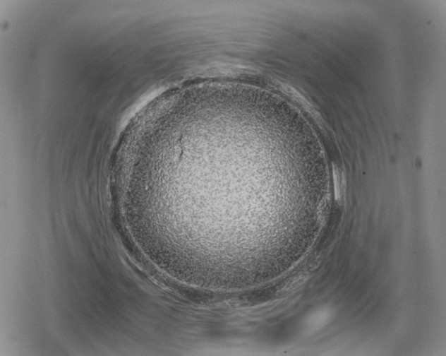 X0000078840675200611201314