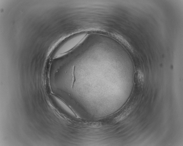 X0000078840676200611201314