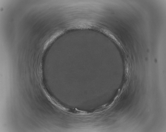 X0000078840677200611201314