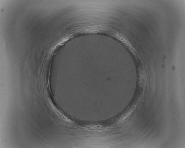 X0000078840681200611201314