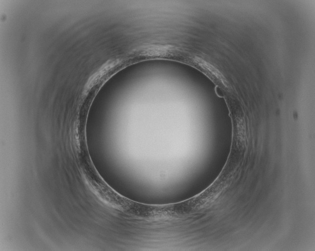 X0000078840682200611201314