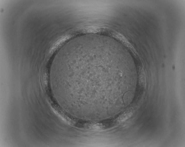 X0000078840683200611201314