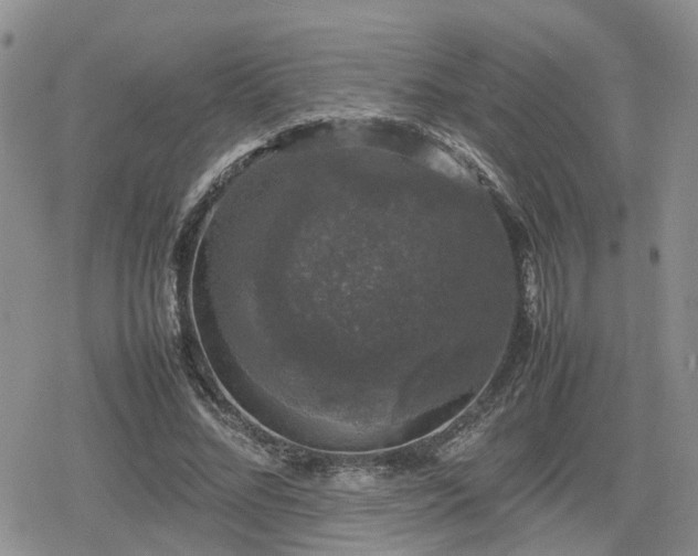 X0000078840684200611201314