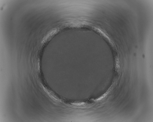 X0000078840685200611201314