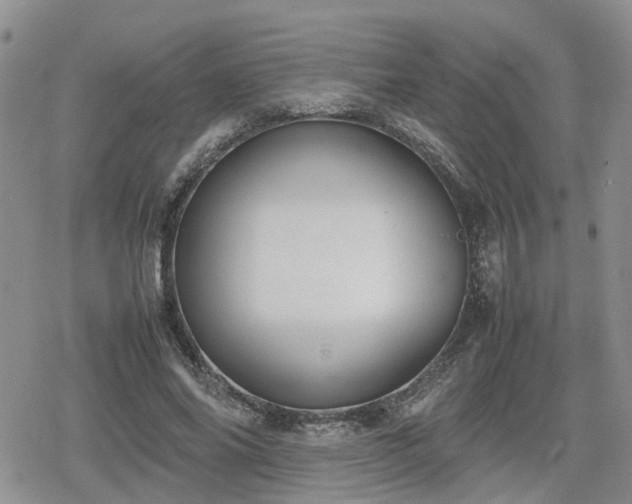 X0000078840686200611201314