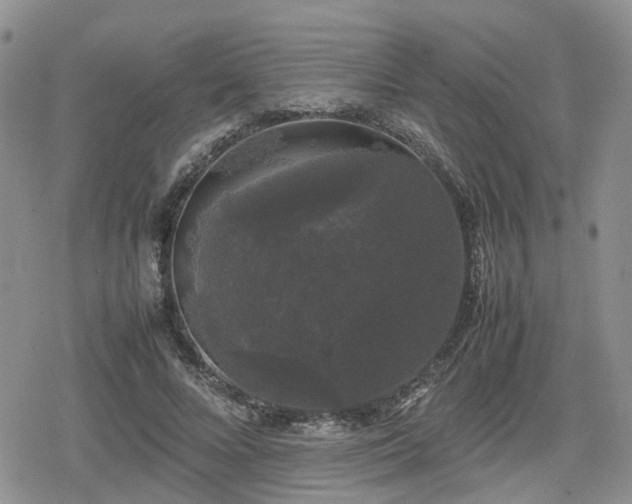 X0000078840688200611201314