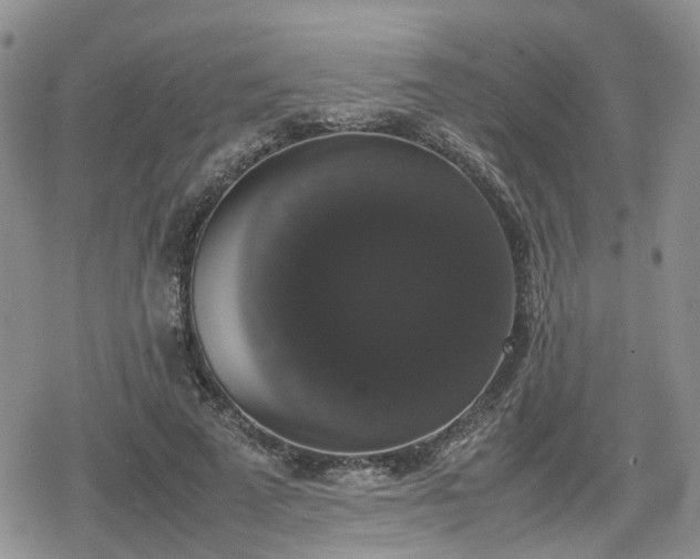 X0000078840689200611201314