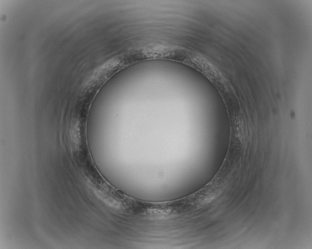 X0000078840690200611201314