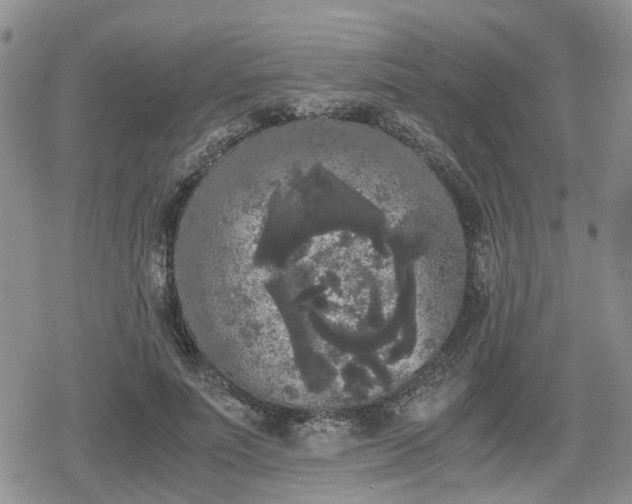 X0000078840691200611201314