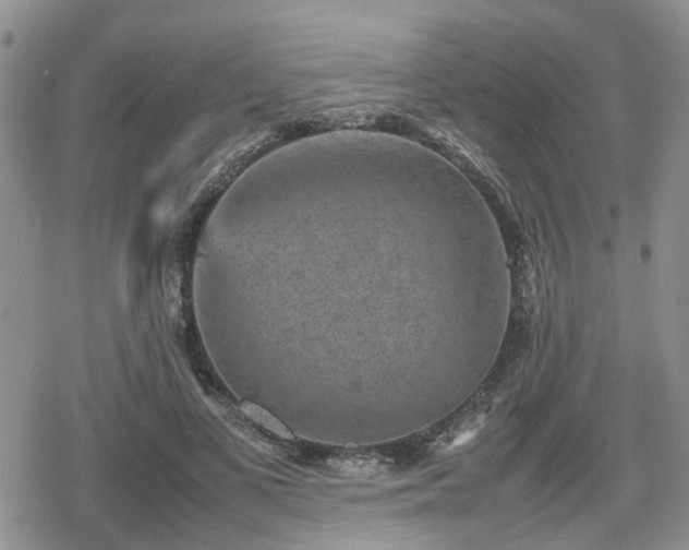 X0000078840693200611201314