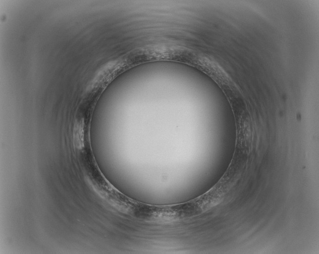 X0000078840694200611201313