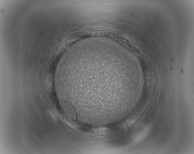 X0000078840695200611201313