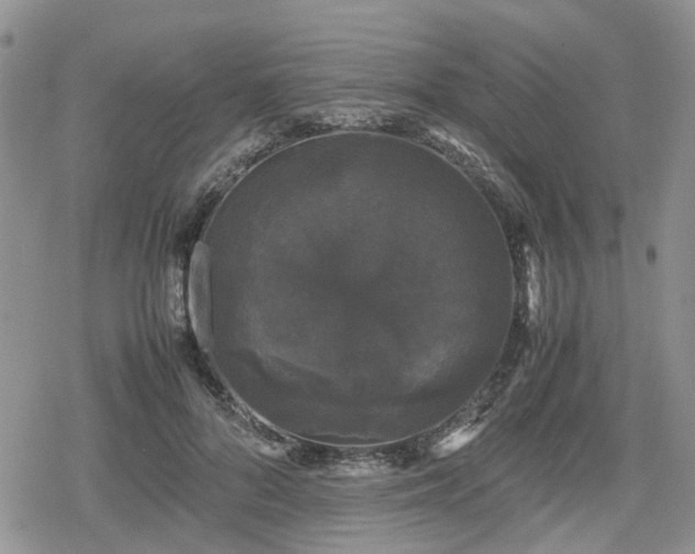 X0000078840696200611201313