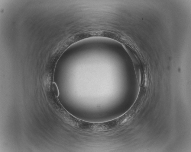 X0000078840697200611201313