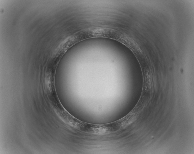 X0000078840698200611201313