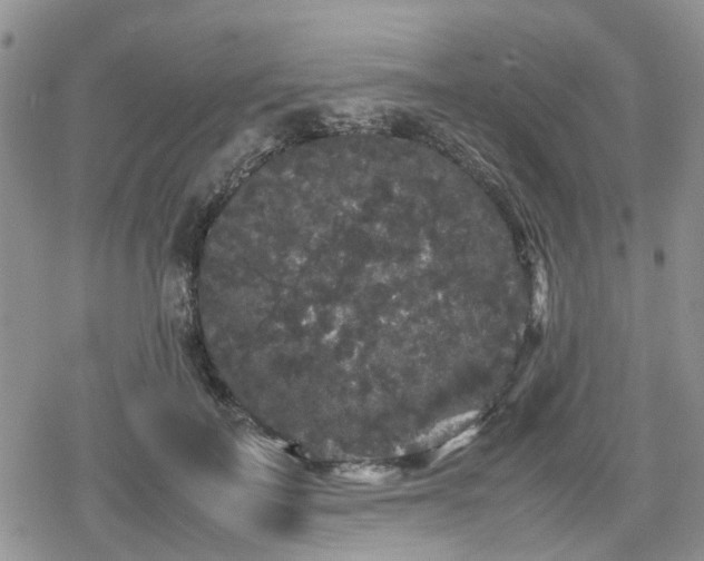 X0000078840699200611201313