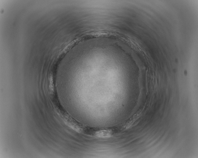 X0000078840700200611201313