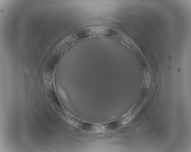 X0000078840701200611201313