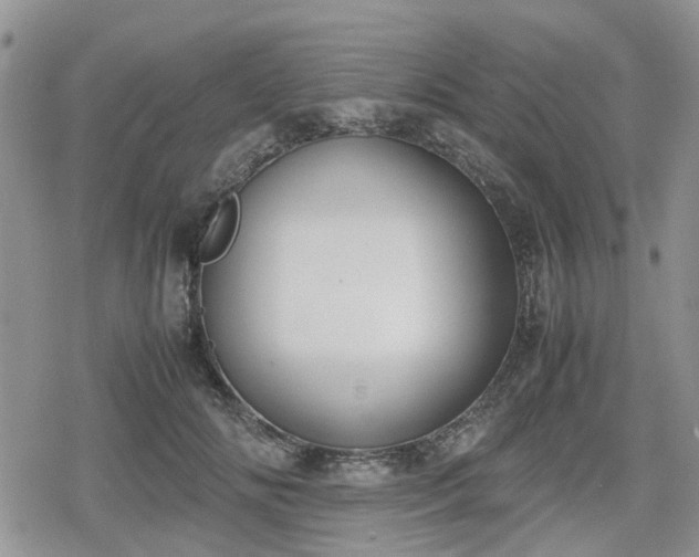 X0000078840702200611201313