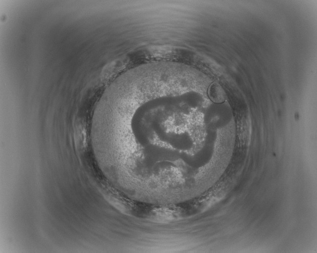 X0000078840703200611201313