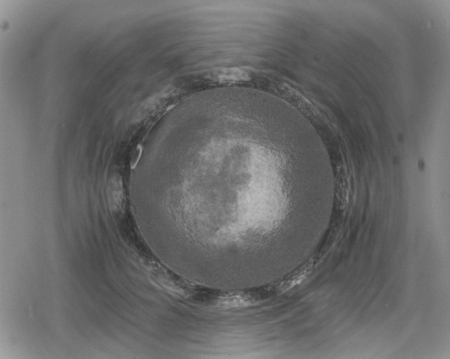 X0000078840704200611201313