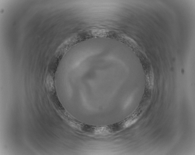 X0000078840705200611201313