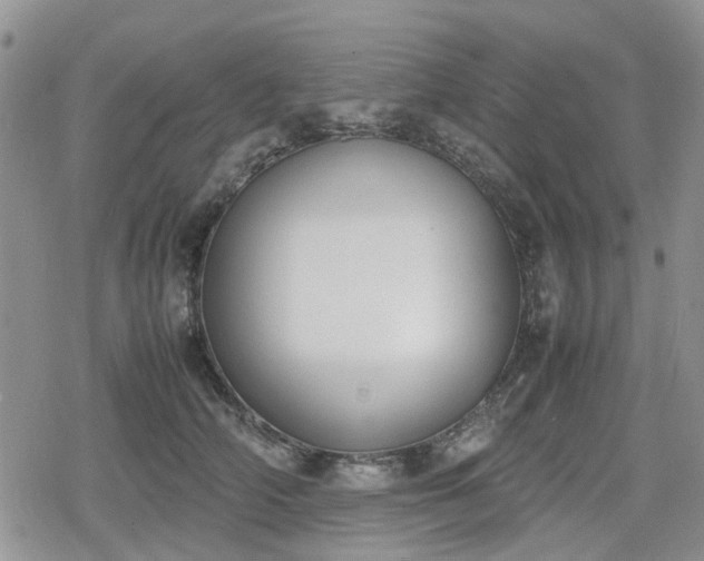 X0000078840706200611201313