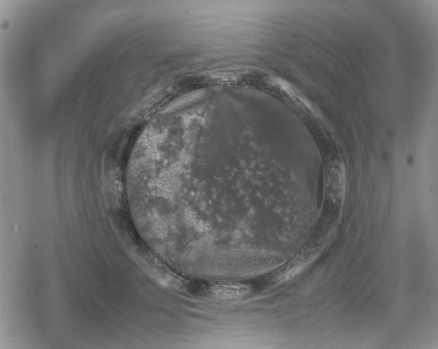 X0000078840707200611201313