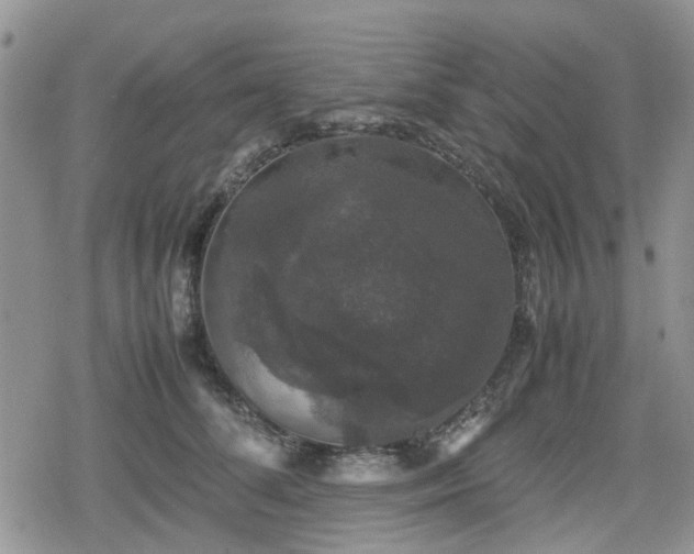 X0000078840708200611201313