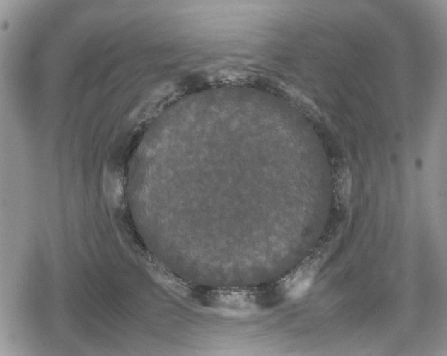 X0000078840709200611201313