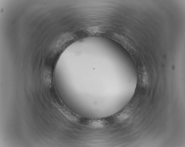 X0000078840710200611201313