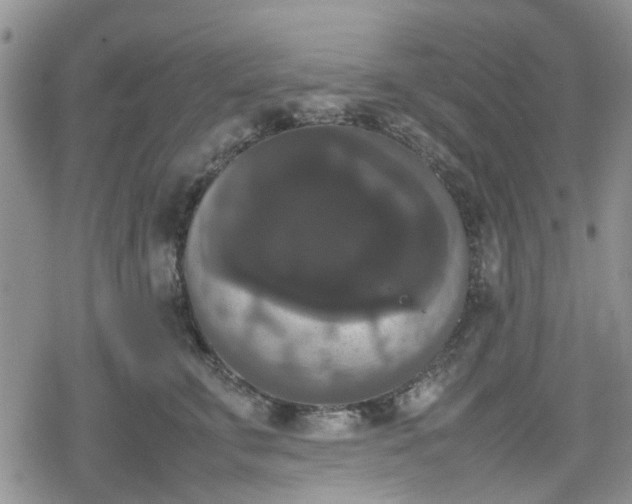 X0000078840711200611201313