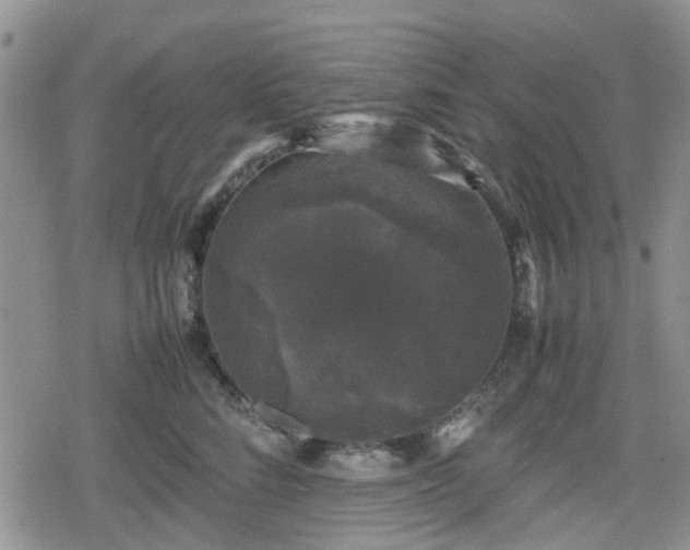 X0000078840712200611201313