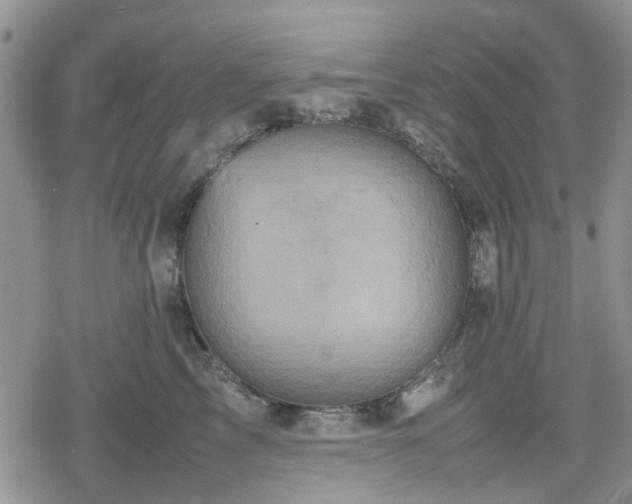 X0000078840713200611201313