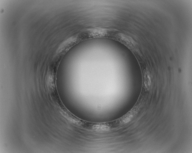 X0000078840714200611201313