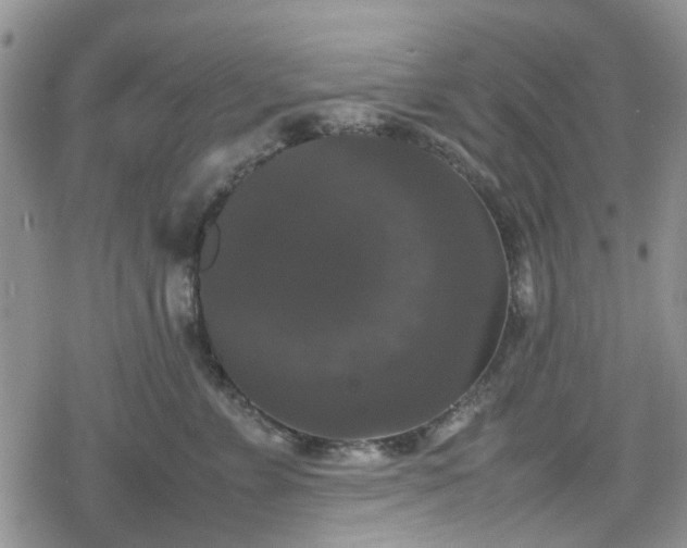 X0000078840715200611201313