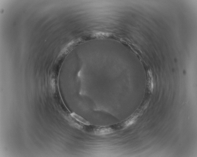 X0000078840716200611201313