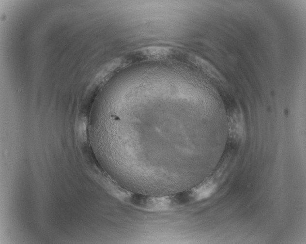 X0000078840717200611201313