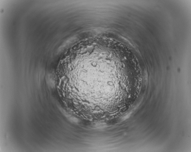 X0000078840719200611201313