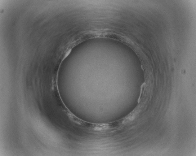 X0000078840720200611201313